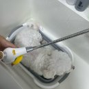 가드기멍 이미지