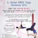 1st Aerial MEDI Yoga Workshop 2012 - 처방이 있는 에어리얼 메디요가 워크숍 (8/25일...토요일) 이미지