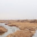 예당축사 이미지