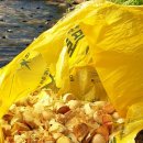 제일농약종묘사 이미지