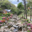 용인자연휴양림 숲속체험관 이미지