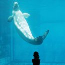 거제에서 보낸 일주일 이미지