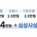 깨비동물병원 이미지