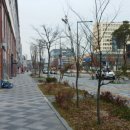 국세청앞 BRT 이미지