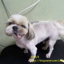 마린시티 종합동물병원 이미지