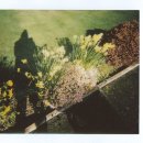 디에스치과의원 이미지