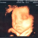 현정이네 이미지