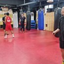 번영 복싱체육관 이미지