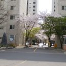 한국아파트 이미지