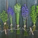 아로마테라피 이미지