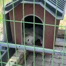 서문육거리~망정사거리 | June-2 (먹방일기, 인턴일기, 여행일기, 일상 :) 🐱)