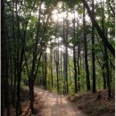 애막골 등산로 입구 이미지