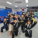 필살 합기도 이미지