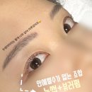 세류3 1035-84 | [대구눈썹잘하는곳] 눈썹 리터치를 3-4개월 후에 한다구요??