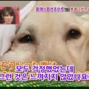 하이디 - 남구 | 하이디