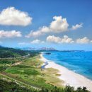 금수강산 이미지