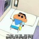 꽃냥 네이버블로그