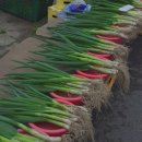 동복오일시장 이미지