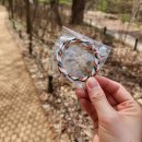속리산 법주사 | 속리산 등반후기 화북분소 - 문장대 - 법주사 - 보은터미널 코스 소요시간 난이도 ( feat. 대전알레버스 )