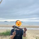 숲속노을로(2) | 태안노을숲캠핑장 태안앞바다 명당자리에서 2박3일 캠핑후기🤍