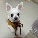 달콤하우스 마곡점