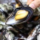 래아수산 이미지