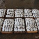 신진도pc 이미지