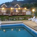 애견천국 이미지