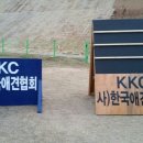 한국애견대학 이미지