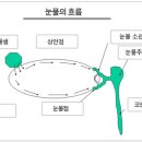 안구 건조증 이미지