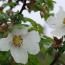 옥룡농장 이미지