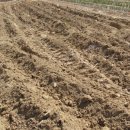 희망찬농장 이미지