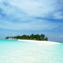 알레그레 이미지