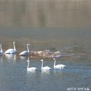 보성강7 이미지