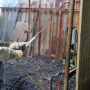 김경태농장 이미지