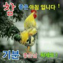 오늘은 초복입니다 이미지