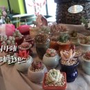 플로렌스플라워카페