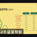 책나무글꽃학원