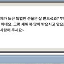 대나무랜드 이미지