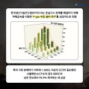 유황 F&S 이미지