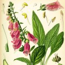 자연을그리는사람들 이미지