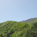 송이용소 이미지