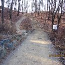 우면산6-4 이미지