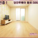 당진초교 이미지