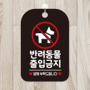 공공의 샾