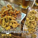 대전 궁동 가성비 술집 한돈 후라이드 &#34;달아오름&#34;