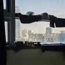 데이롱카페여의도