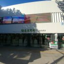 백약국옆 이미지