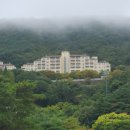 마우나오션컨트리클럽 | 마우나오션리조트 경주 1박2일 골프텔 후기