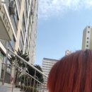 헤어드몽